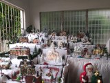 Christmas Village exhibit in Woodbrook (January 9,&nbsp;2019)
